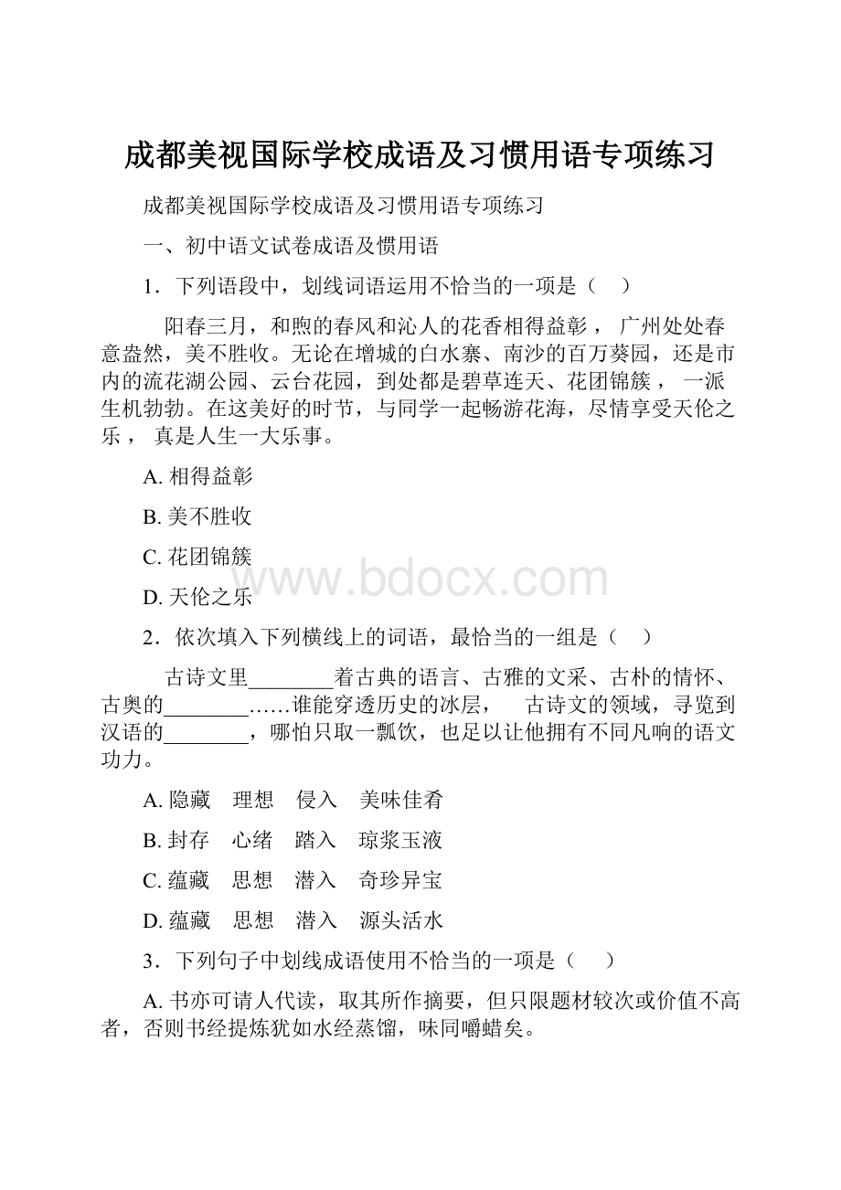 成都美视国际学校成语及习惯用语专项练习.docx