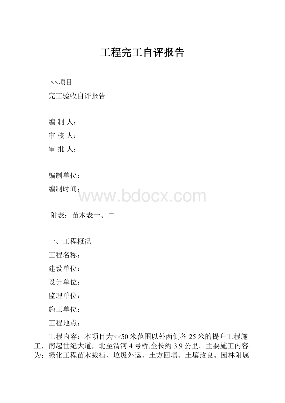 工程完工自评报告.docx