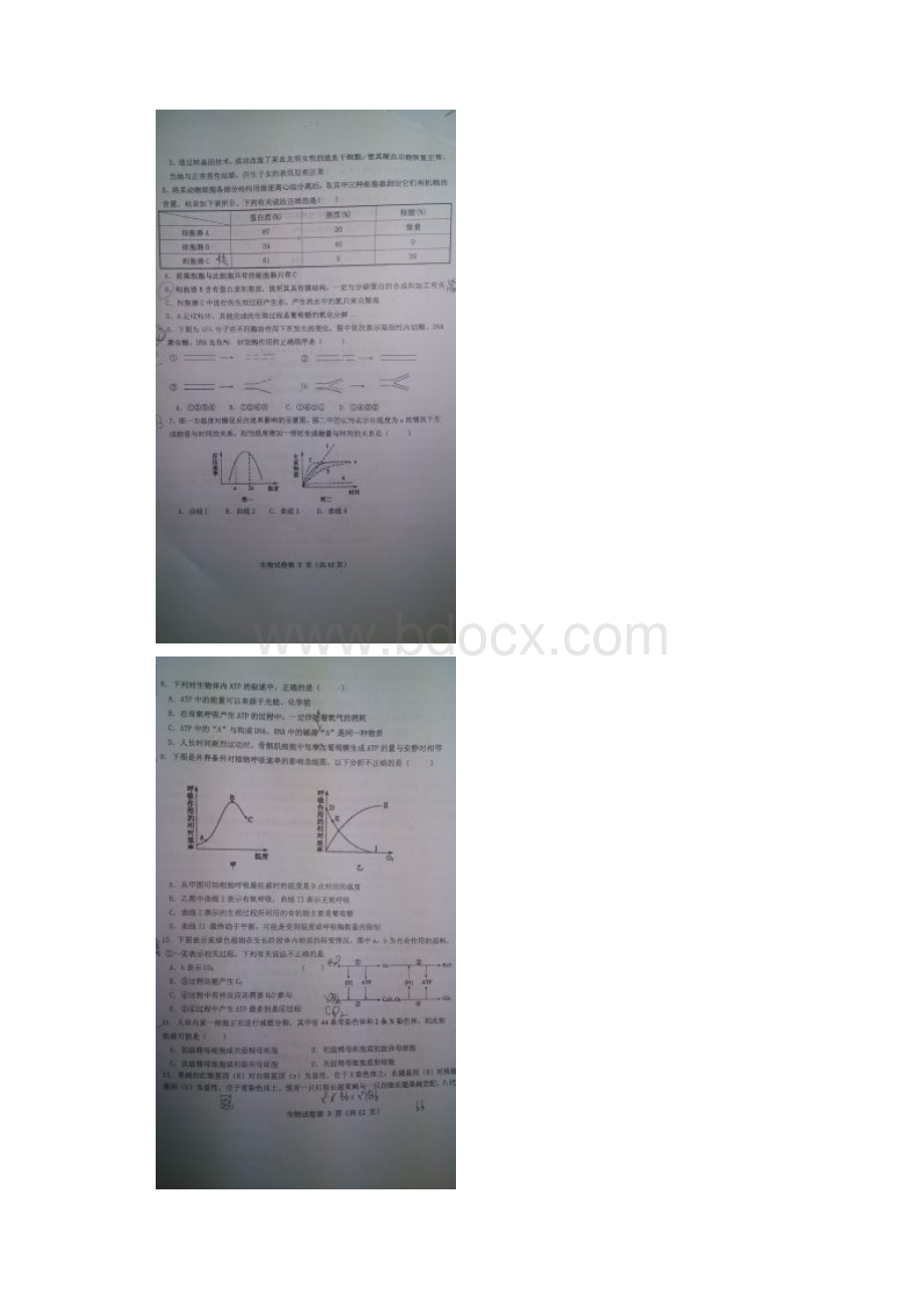天津市河北区届七校联考生物含答案.docx_第2页