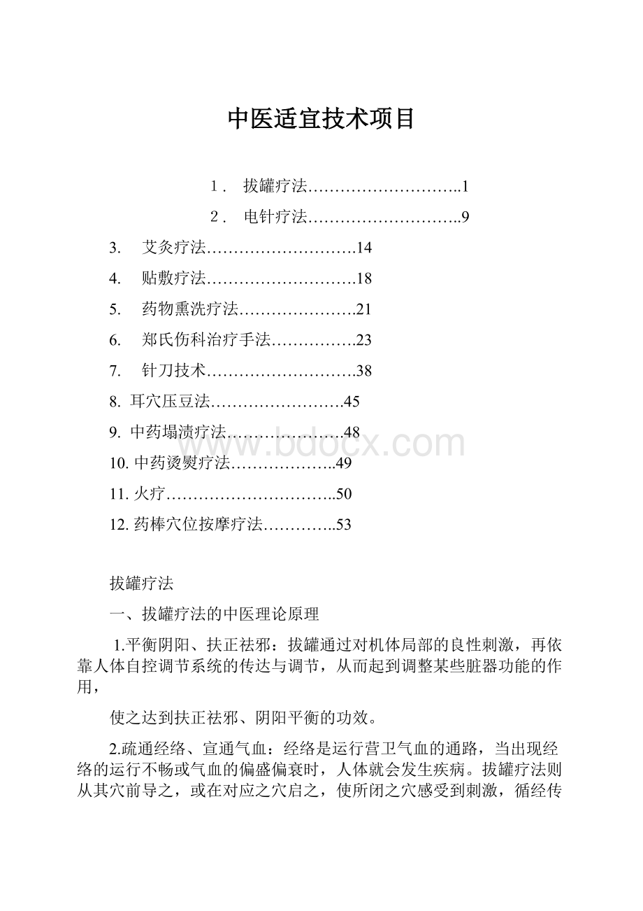 中医适宜技术项目.docx_第1页