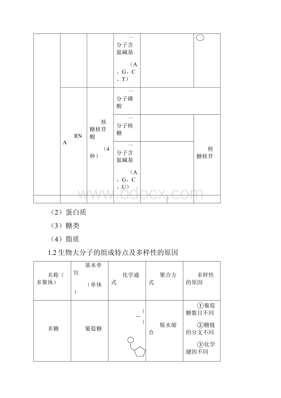 高三生物一轮复习知识结构网络.docx_第2页