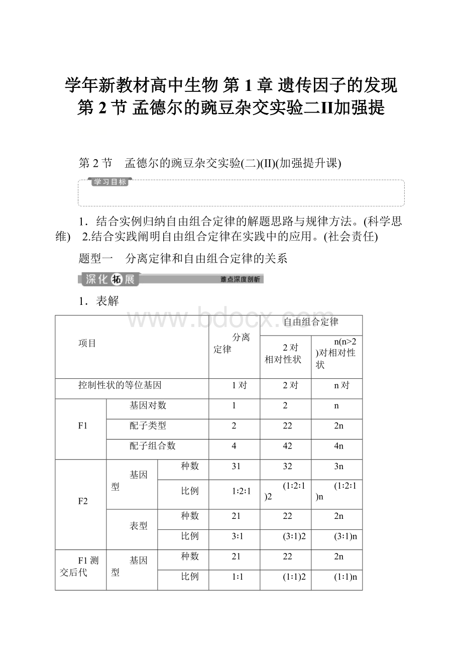 学年新教材高中生物 第1章 遗传因子的发现 第2节 孟德尔的豌豆杂交实验二Ⅱ加强提.docx