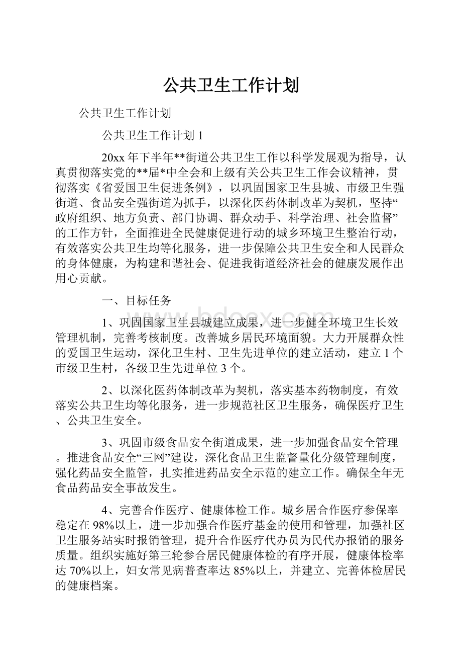 公共卫生工作计划.docx_第1页