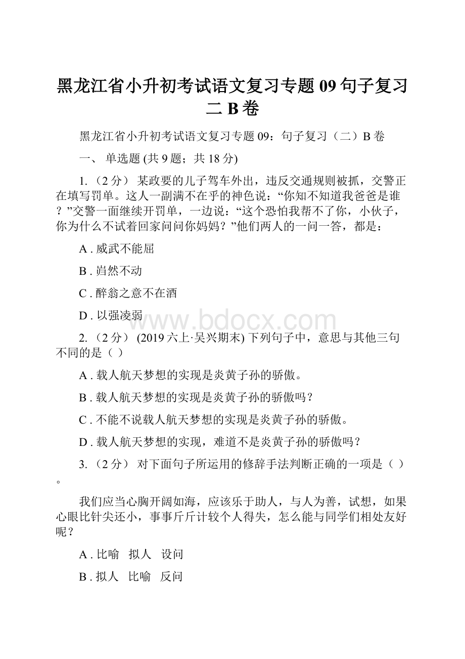 黑龙江省小升初考试语文复习专题09句子复习二B卷.docx