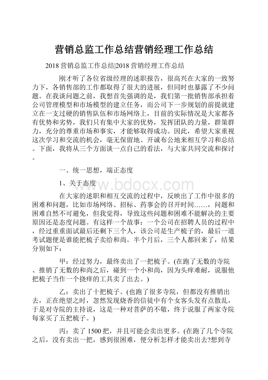 营销总监工作总结营销经理工作总结.docx