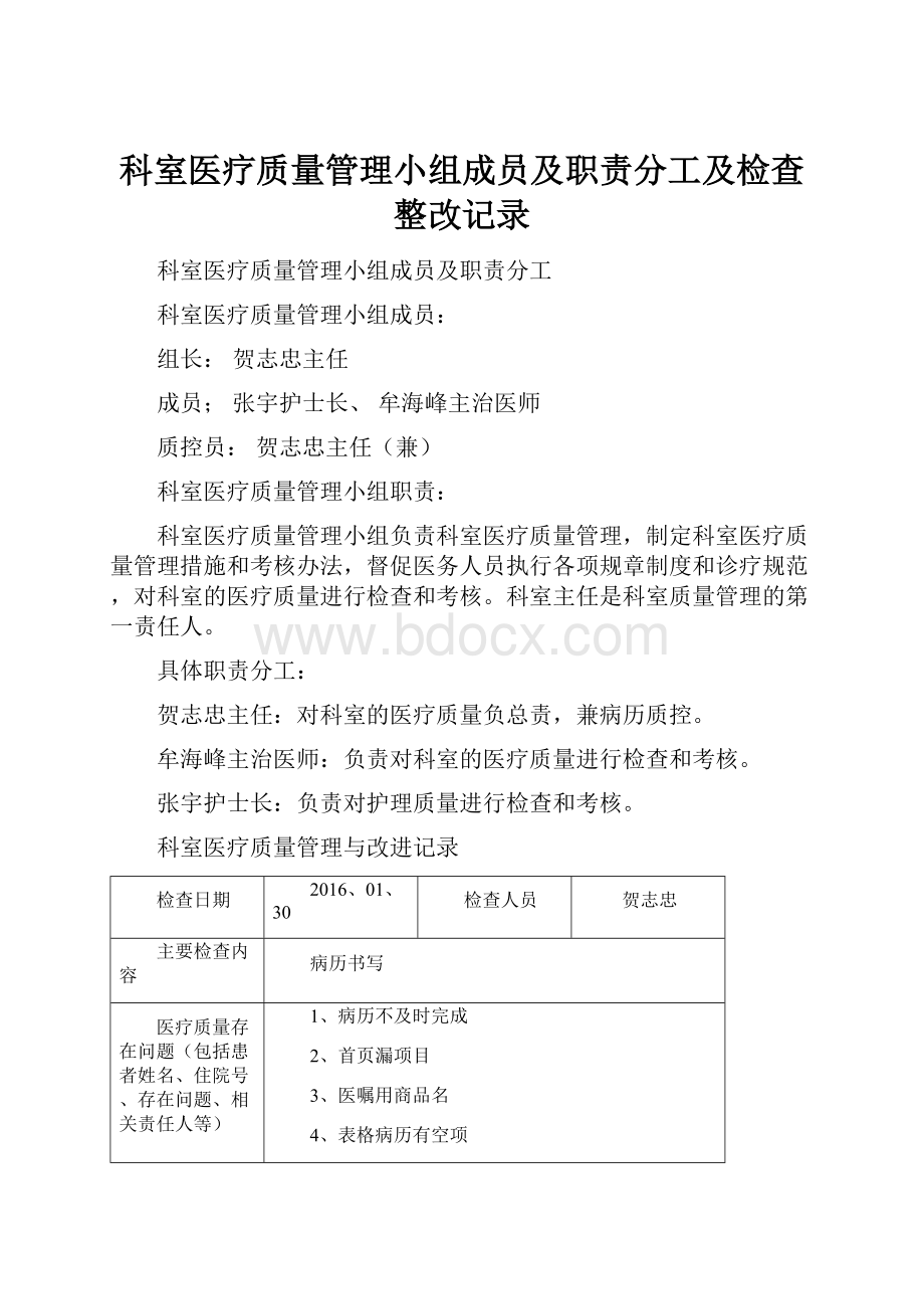 科室医疗质量管理小组成员及职责分工及检查整改记录.docx