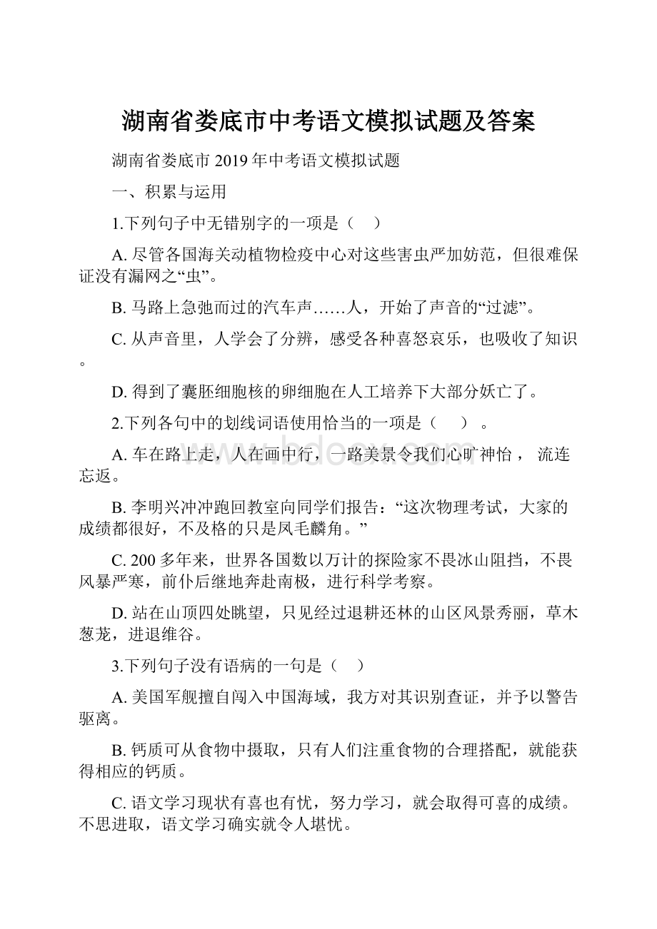 湖南省娄底市中考语文模拟试题及答案.docx