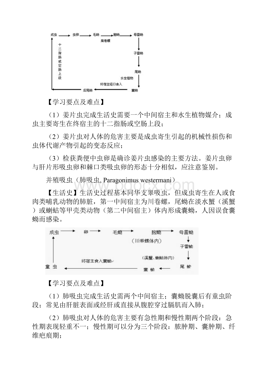 人体寄生虫学生活史图.docx_第2页