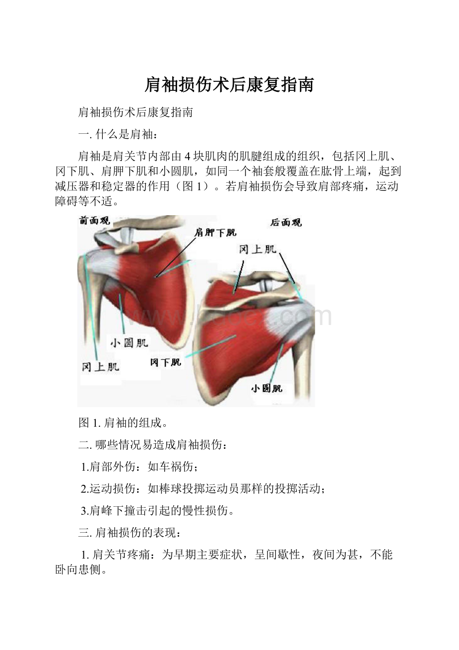 肩袖损伤术后康复指南.docx