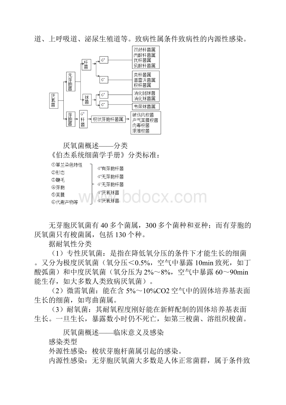 临床检验主管技师 微生物检验 第十七章 厌氧性细菌及检验.docx_第2页