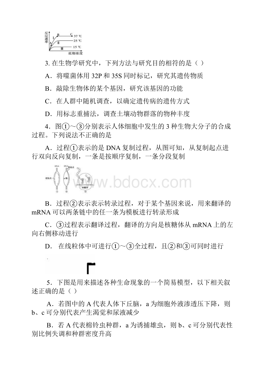 甘肃省西北师大附中届高三校四诊模拟理综试题Word版含答案.docx_第2页