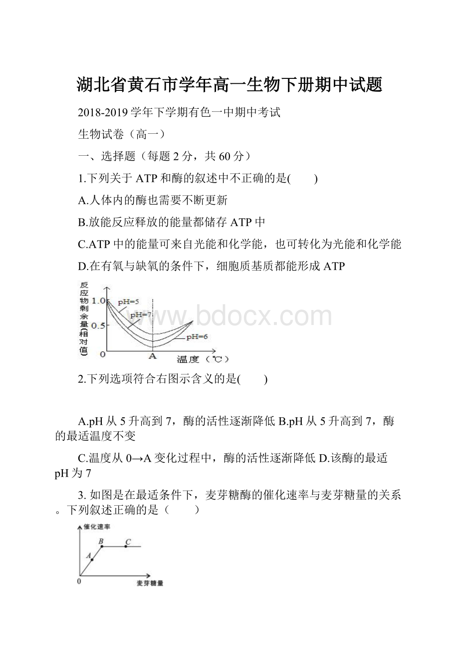 湖北省黄石市学年高一生物下册期中试题.docx