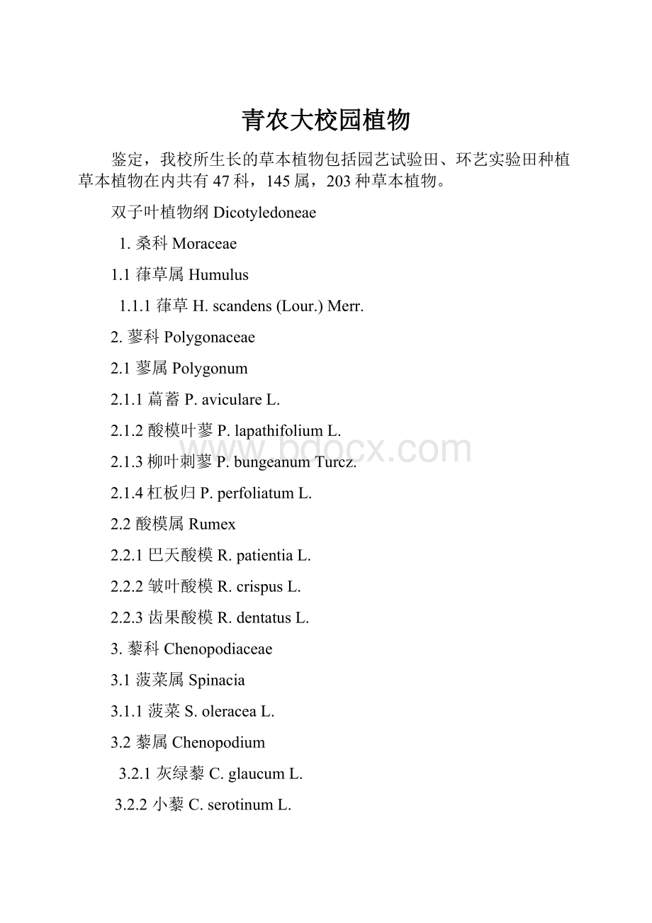 青农大校园植物.docx_第1页