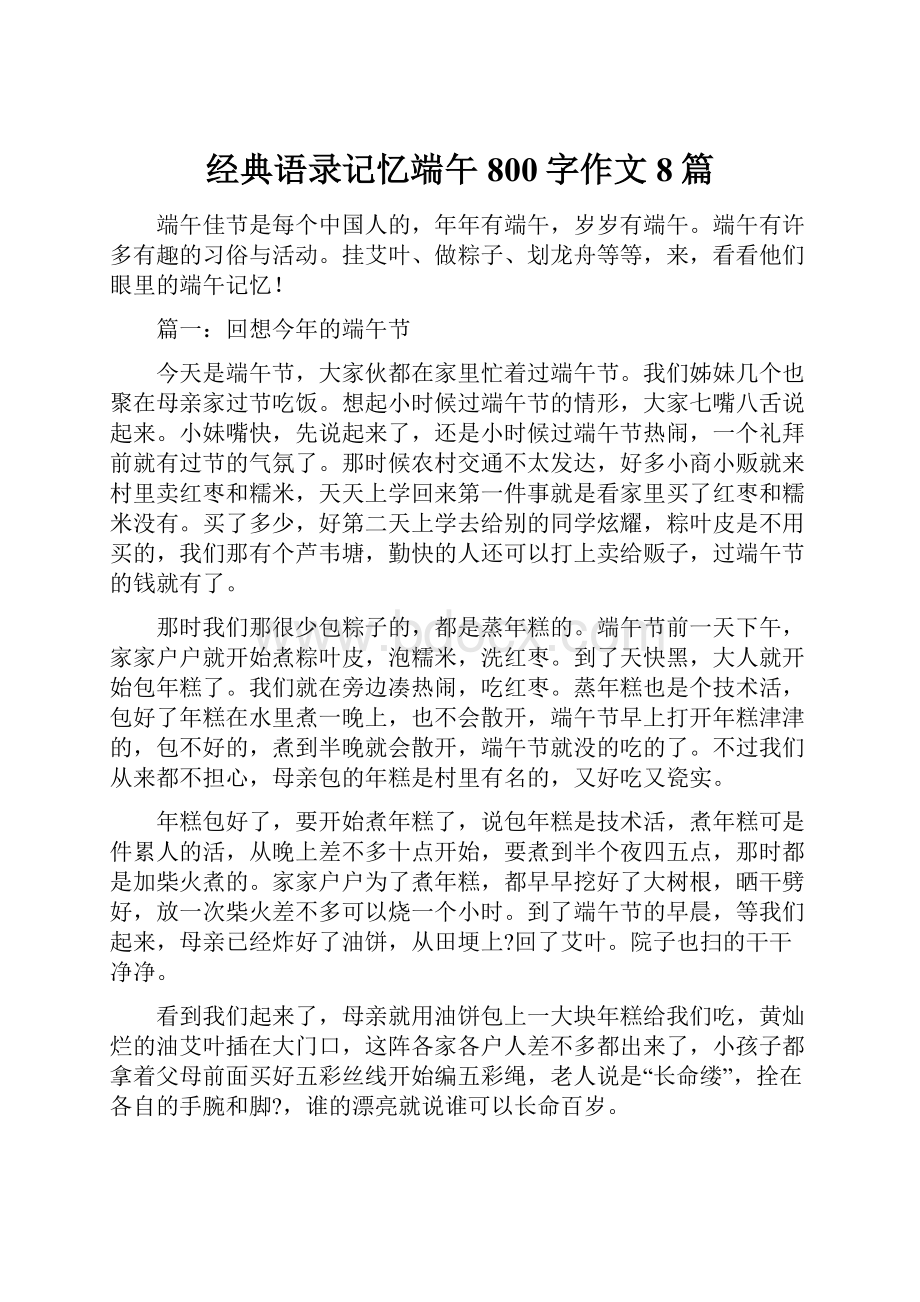 经典语录记忆端午800字作文8篇.docx