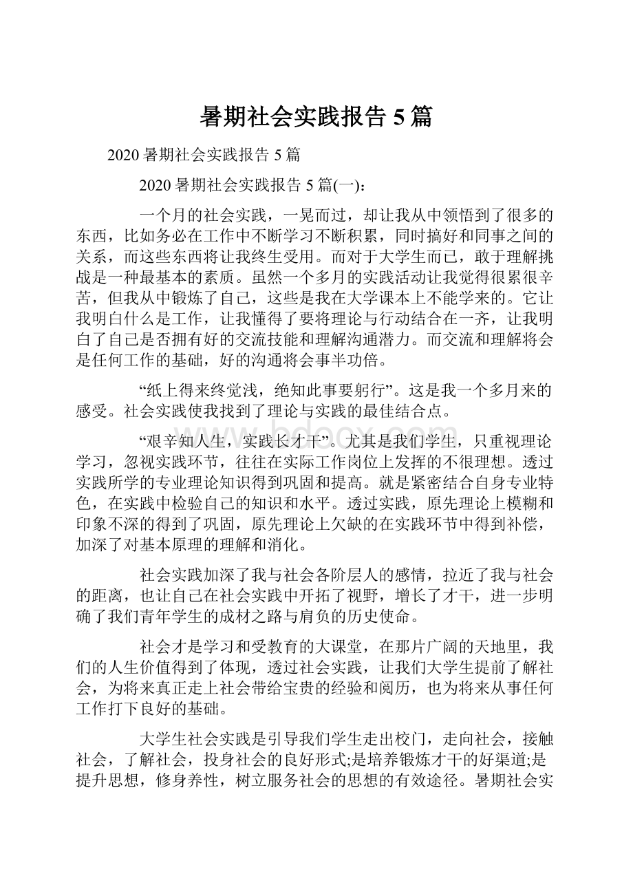 暑期社会实践报告5篇.docx