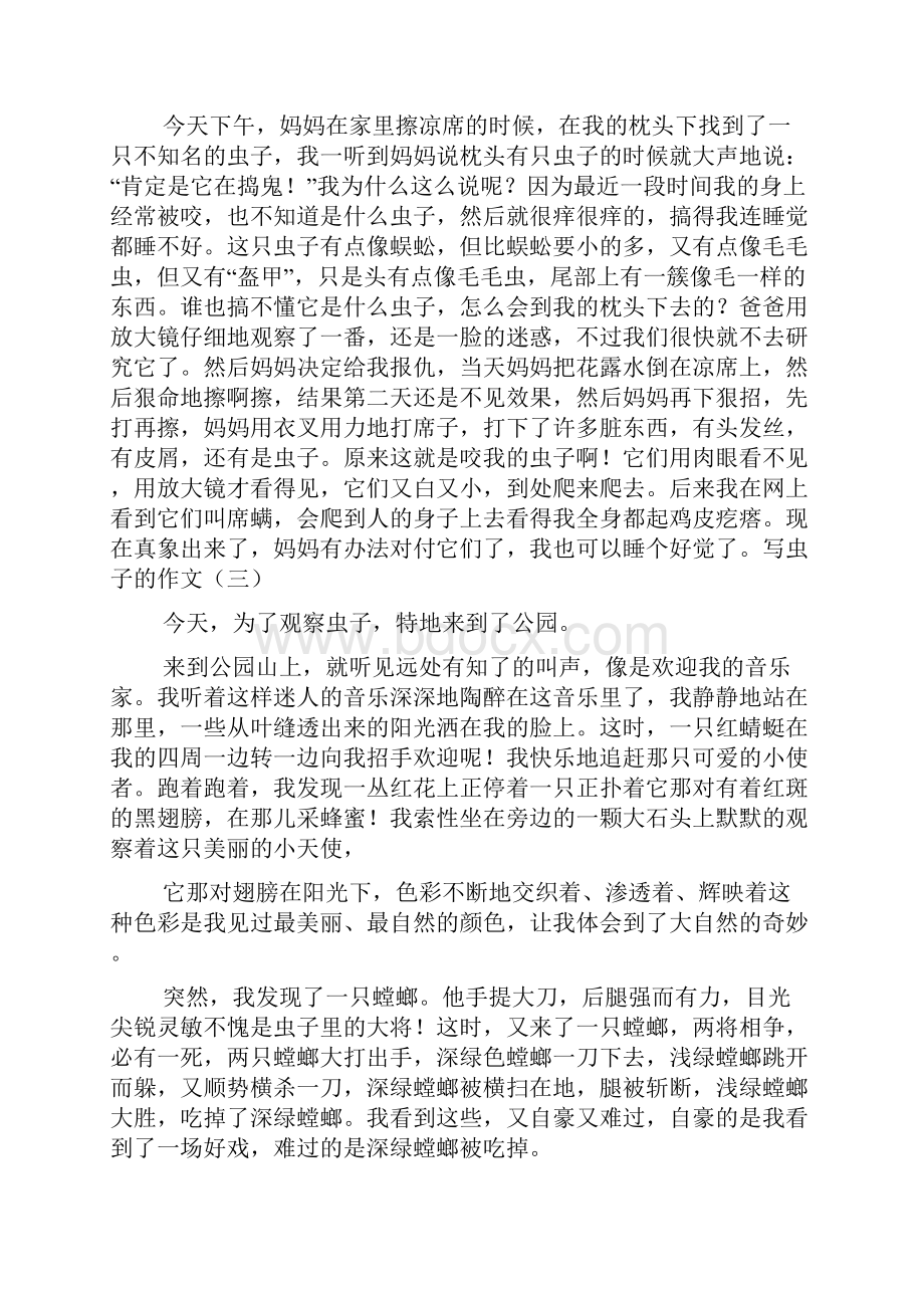 关于观察昆虫的作文.docx_第2页