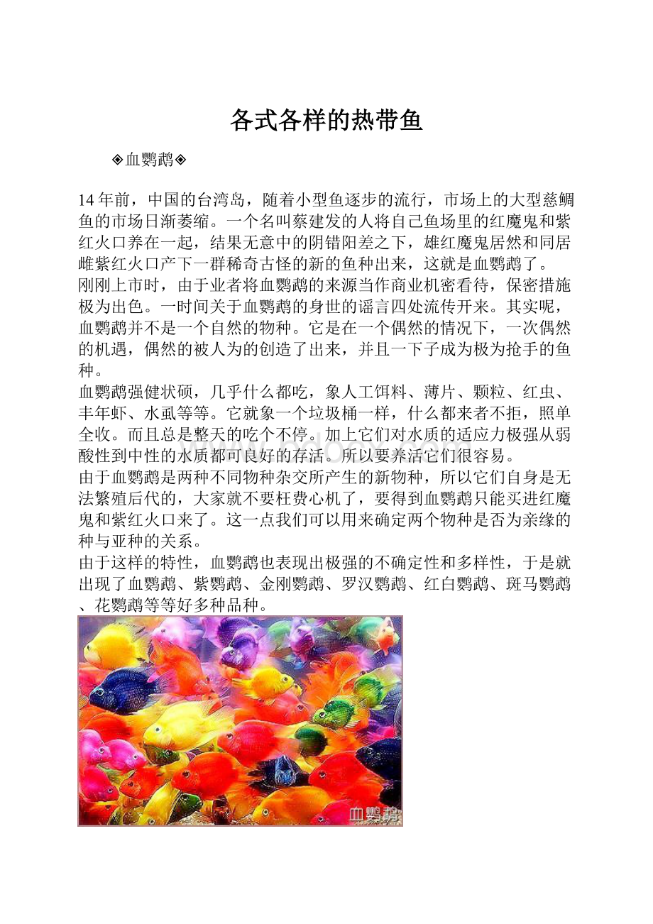 各式各样的热带鱼.docx_第1页