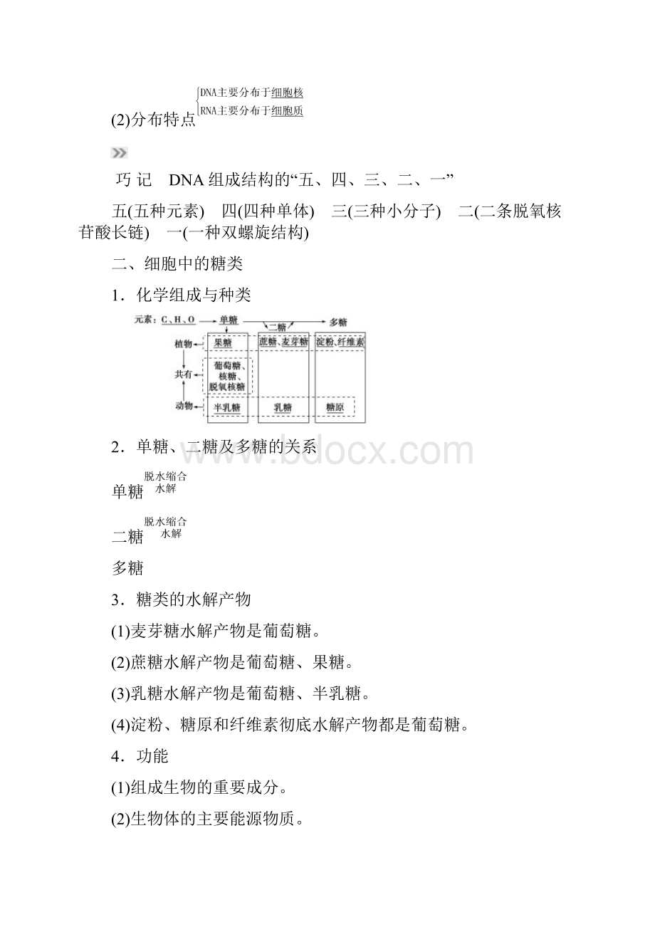 高考生物总复习第1单元第4讲遗传信息的携带者学案.docx_第2页