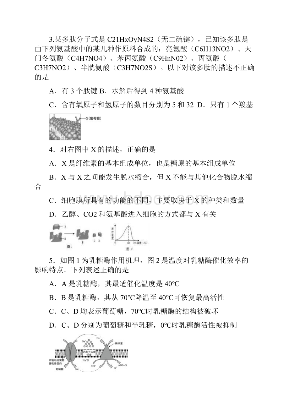 江苏省扬州市届高三生物月考试题.docx_第2页