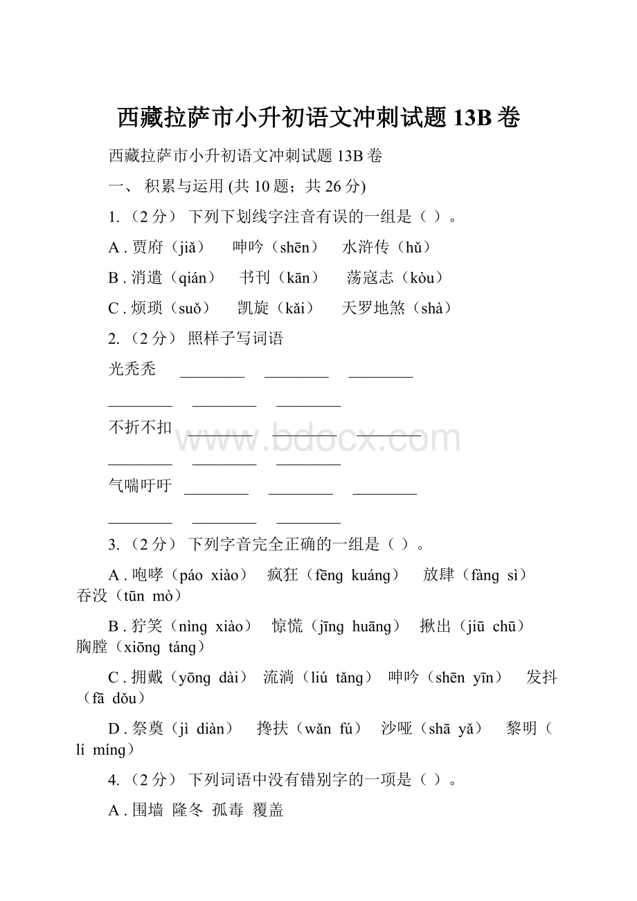 西藏拉萨市小升初语文冲刺试题13B卷.docx