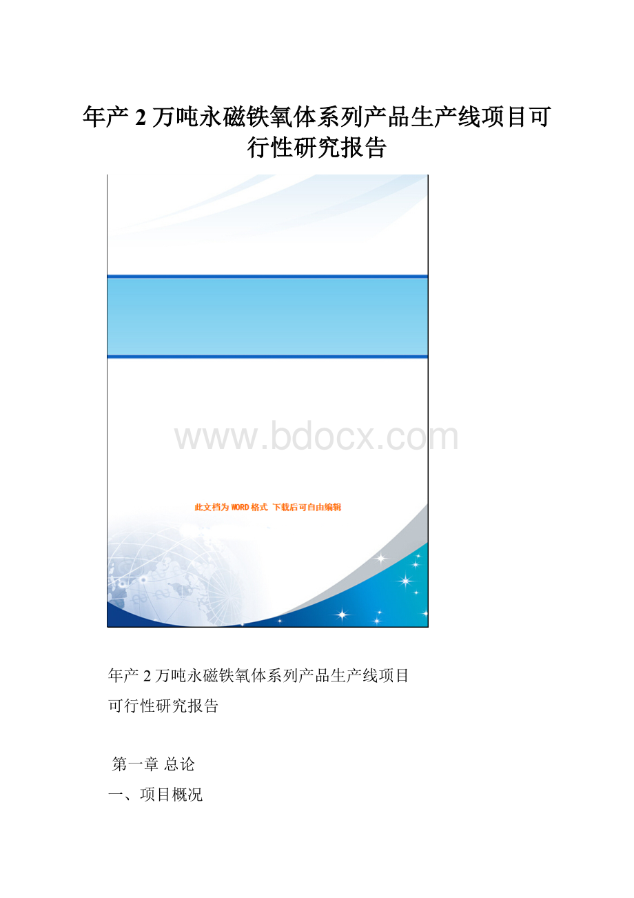 年产2万吨永磁铁氧体系列产品生产线项目可行性研究报告.docx_第1页