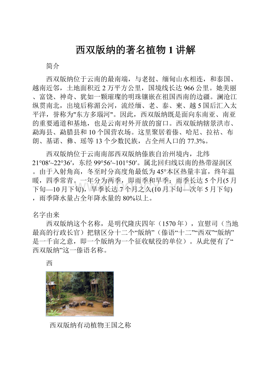 西双版纳的著名植物1讲解.docx