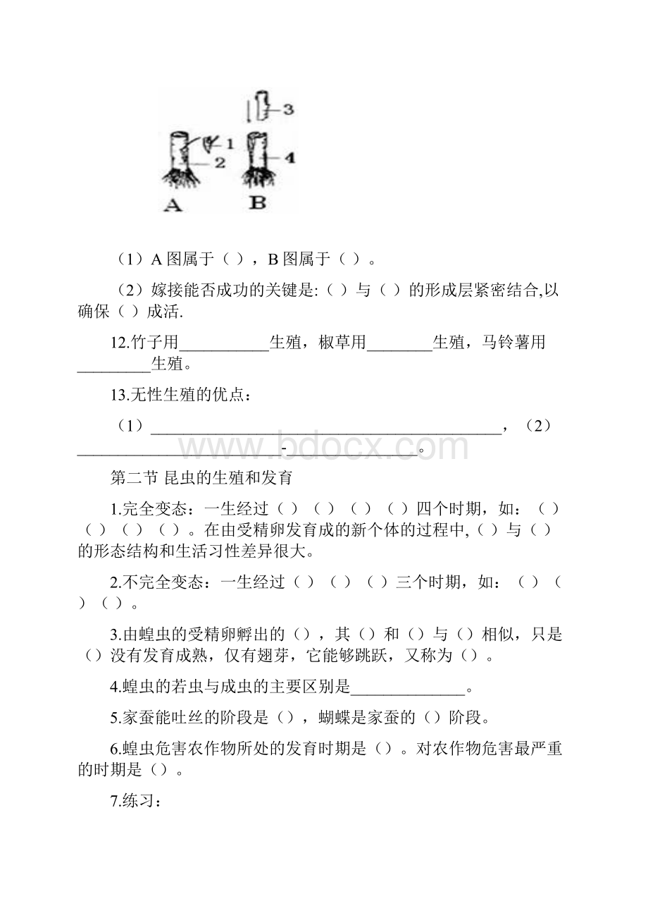 生物八年级下册知识点汇总.docx_第2页