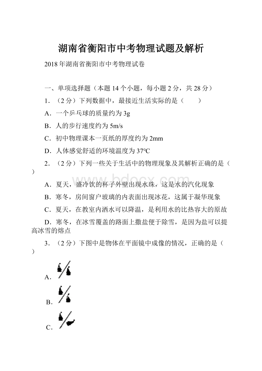 湖南省衡阳市中考物理试题及解析.docx