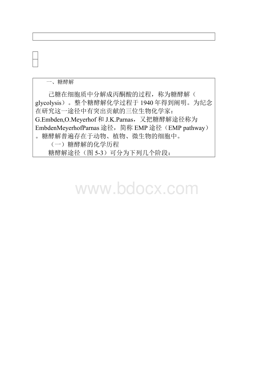 糖酵解 三羧酸循环最全总结.docx_第2页