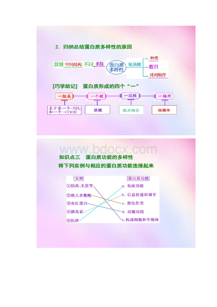 高考生物一轮复习 第一单元 第二讲 生命活动.docx_第3页