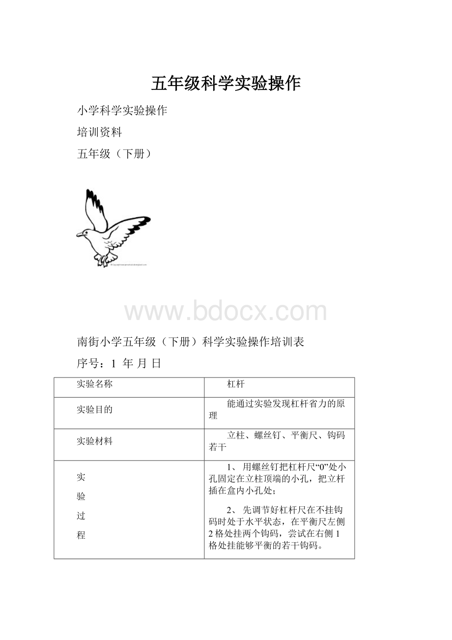 五年级科学实验操作.docx