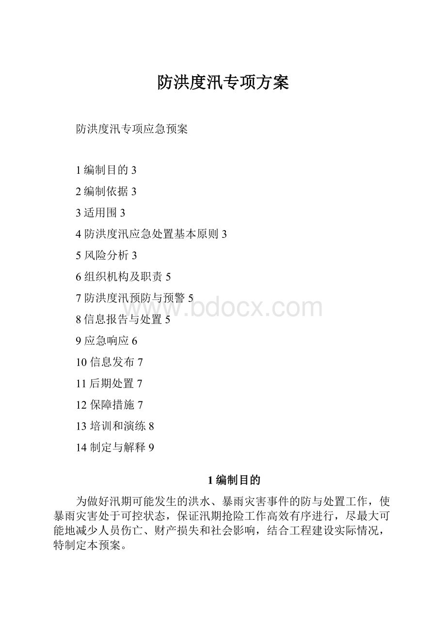 防洪度汛专项方案.docx_第1页