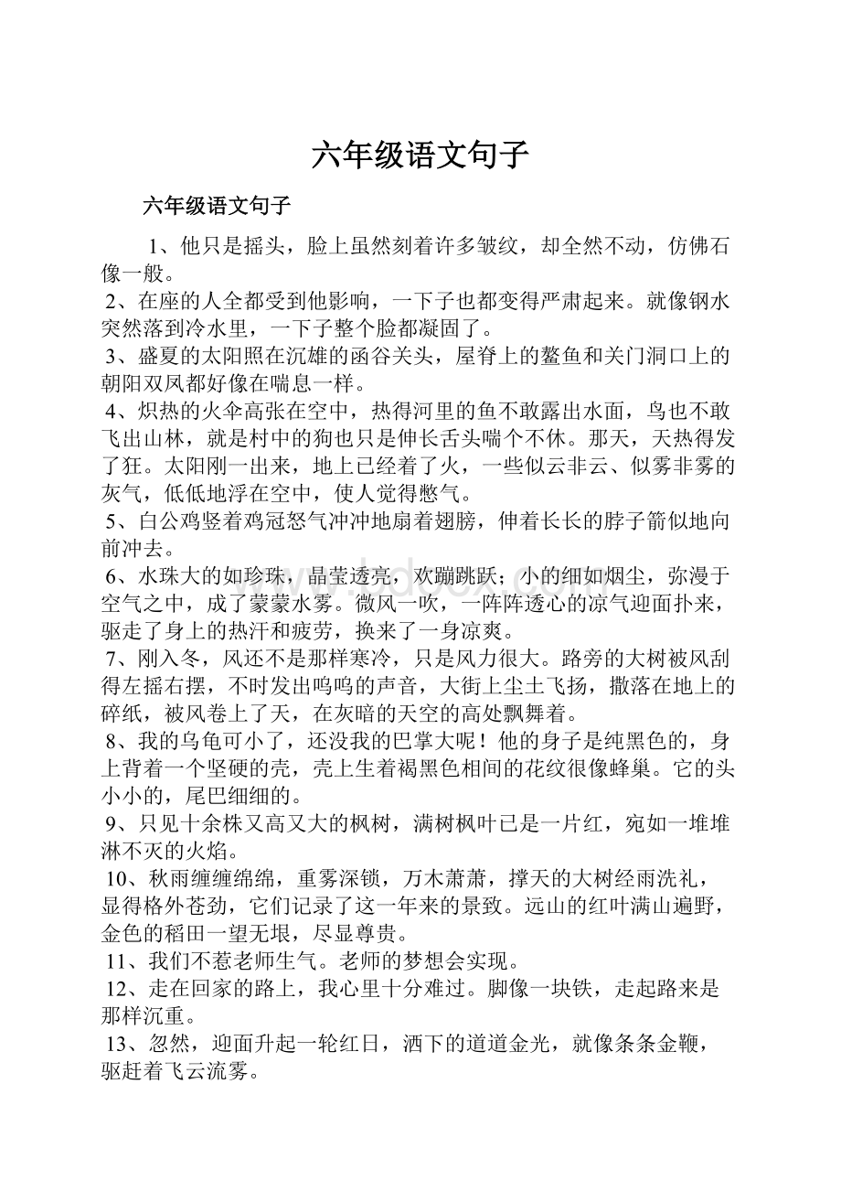 六年级语文句子.docx_第1页