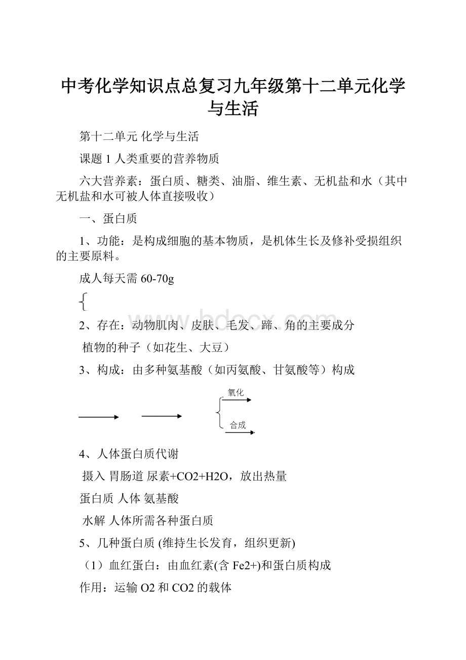 中考化学知识点总复习九年级第十二单元化学与生活.docx