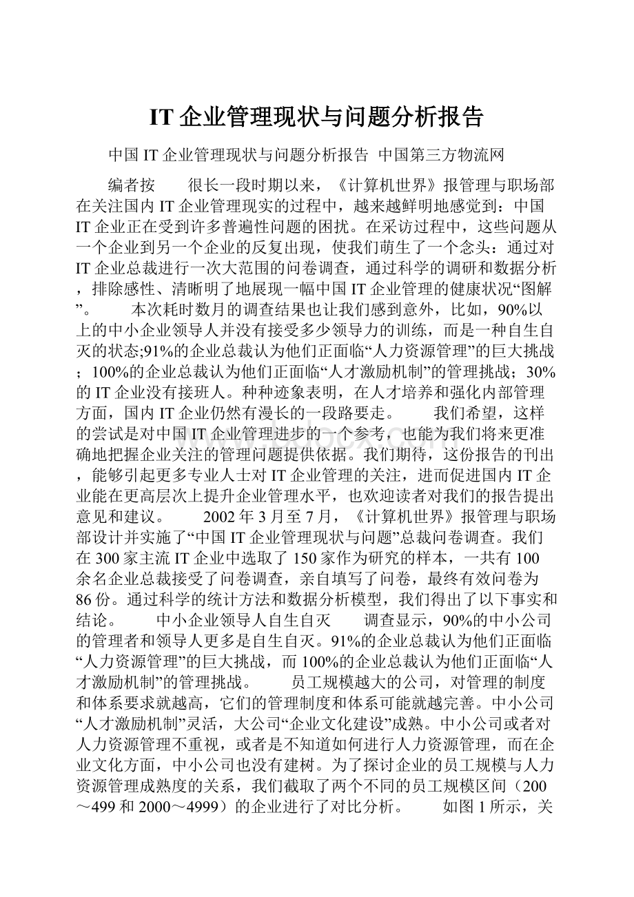 IT企业管理现状与问题分析报告.docx