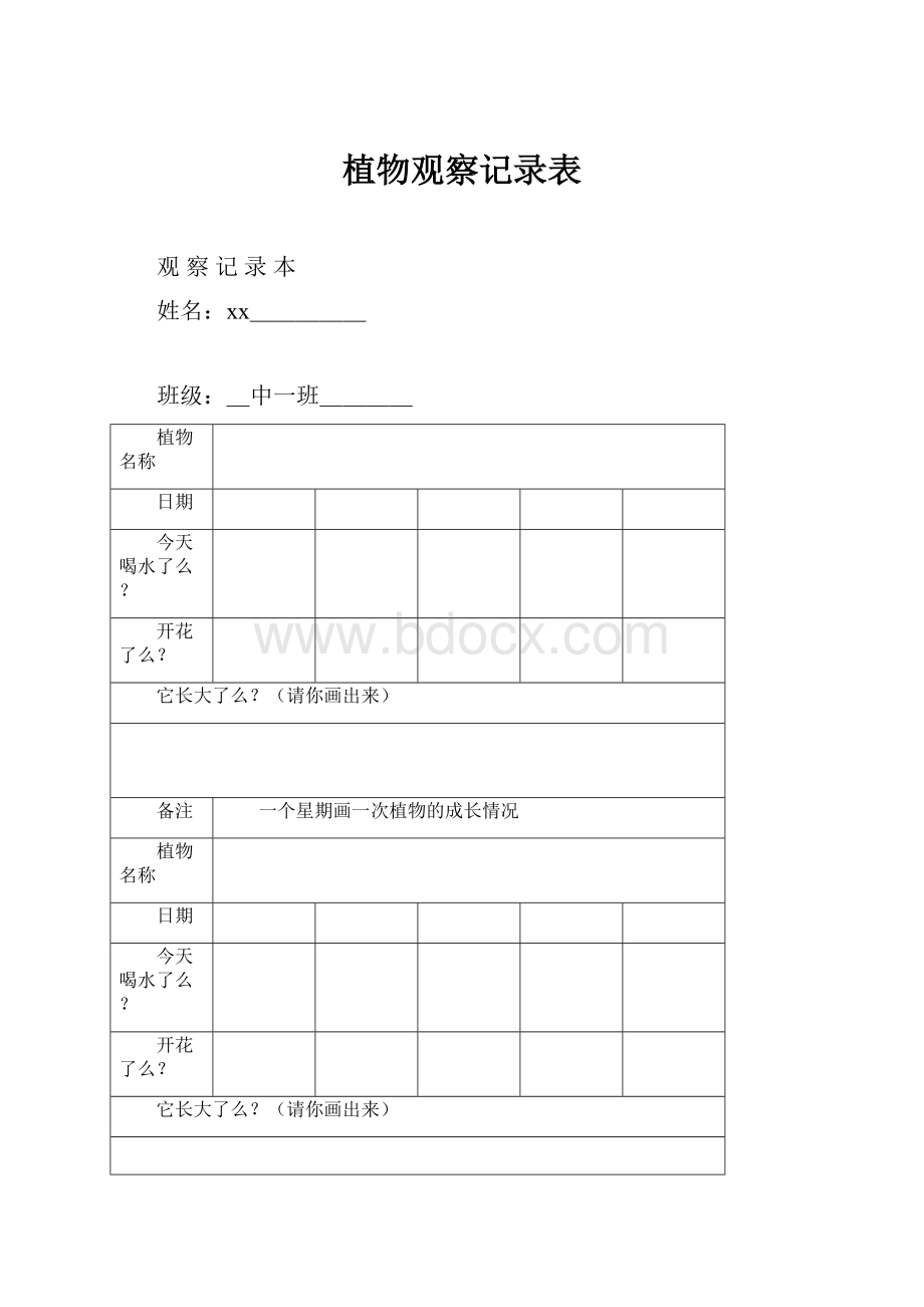 植物观察记录表.docx_第1页