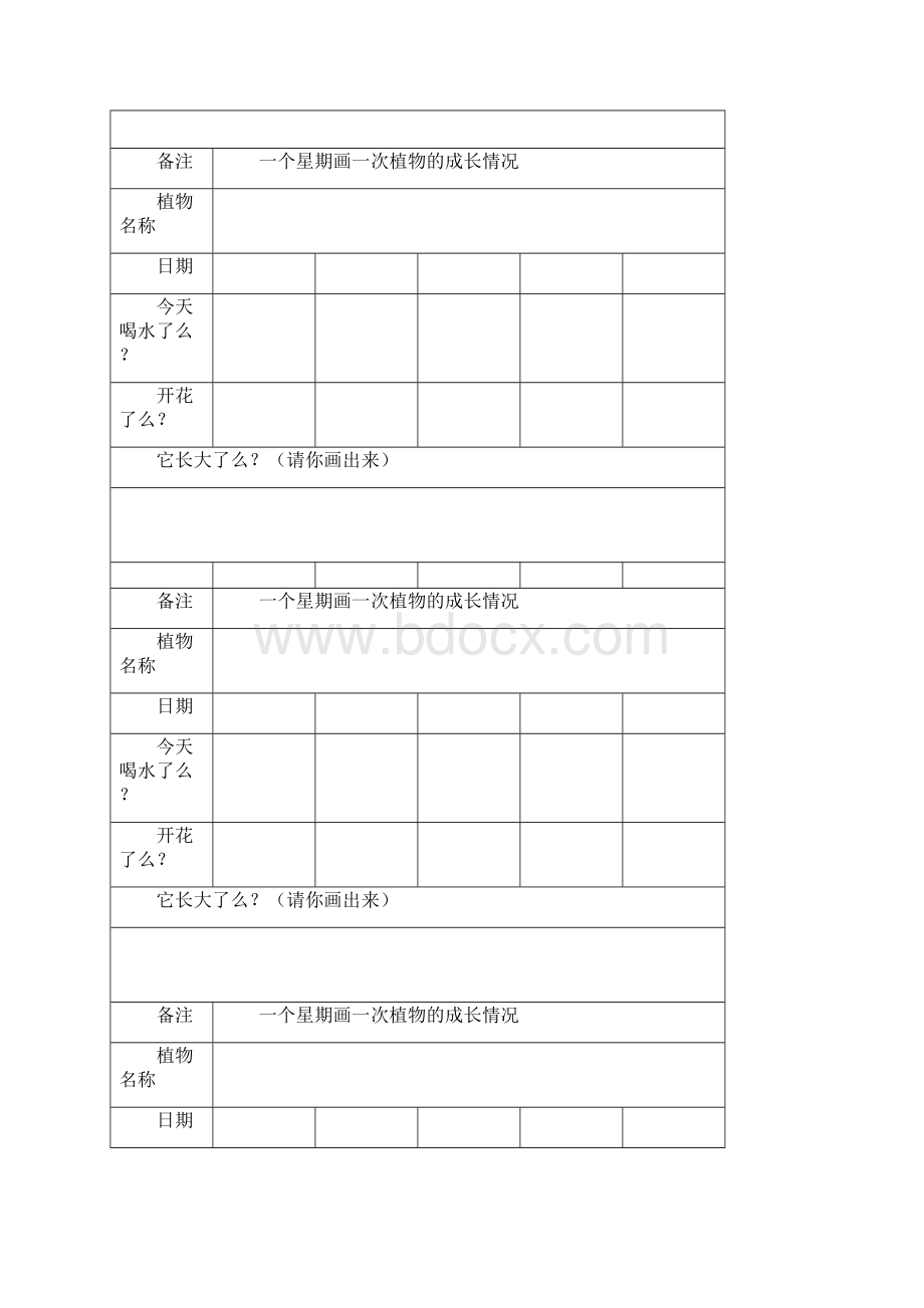 植物观察记录表.docx_第2页