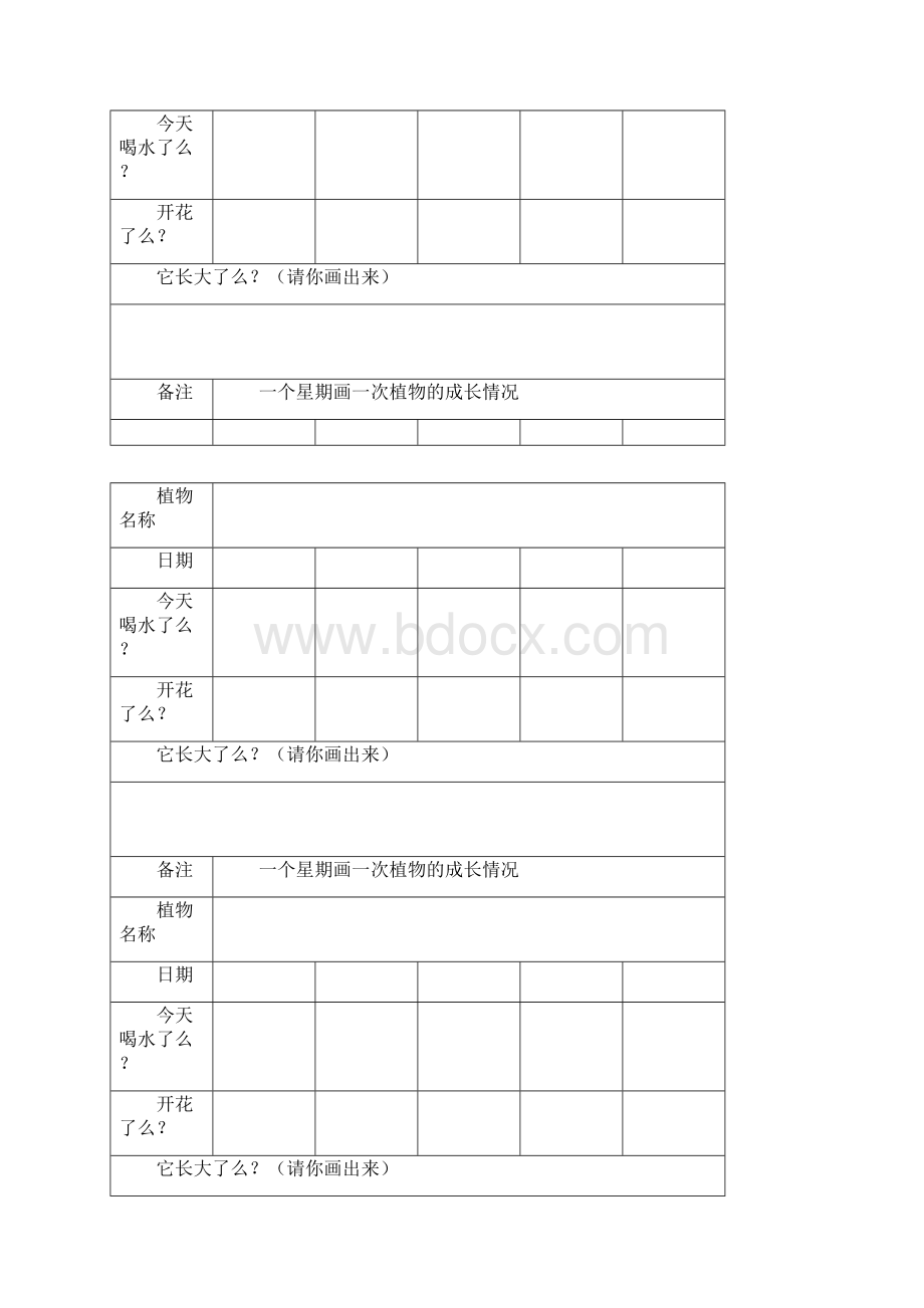 植物观察记录表.docx_第3页