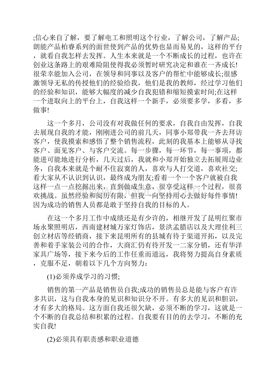 销售人员年终工作总结新出共五篇.docx_第2页