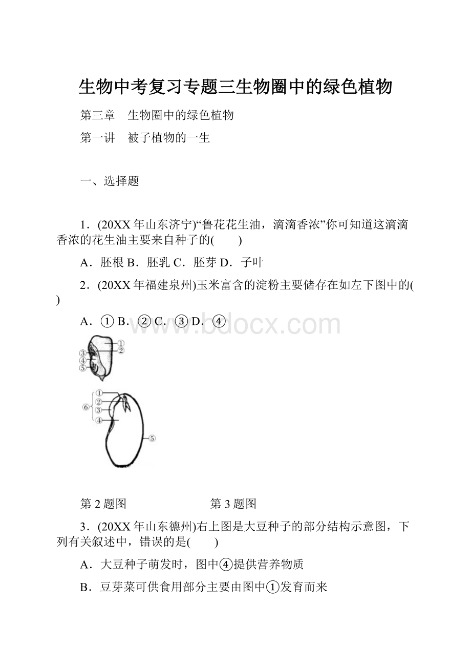 生物中考复习专题三生物圈中的绿色植物.docx_第1页