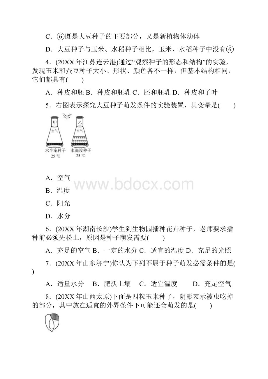 生物中考复习专题三生物圈中的绿色植物.docx_第2页