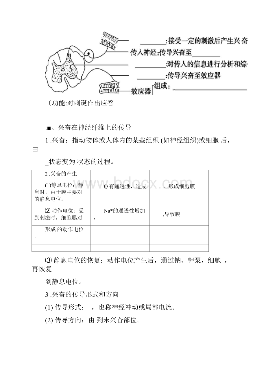 神经调节一轮复习学案word精品.docx_第2页