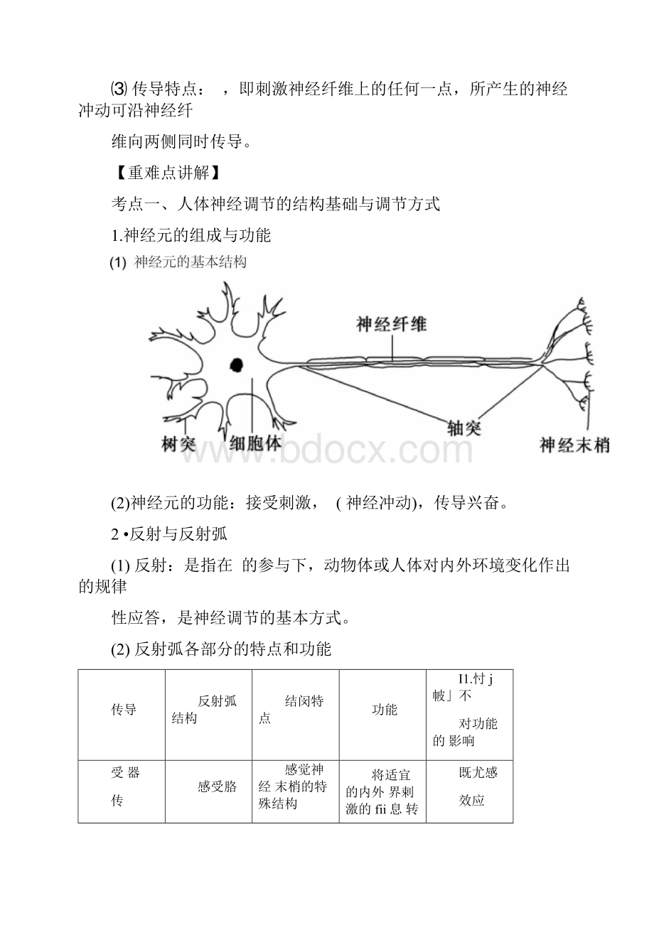 神经调节一轮复习学案word精品.docx_第3页