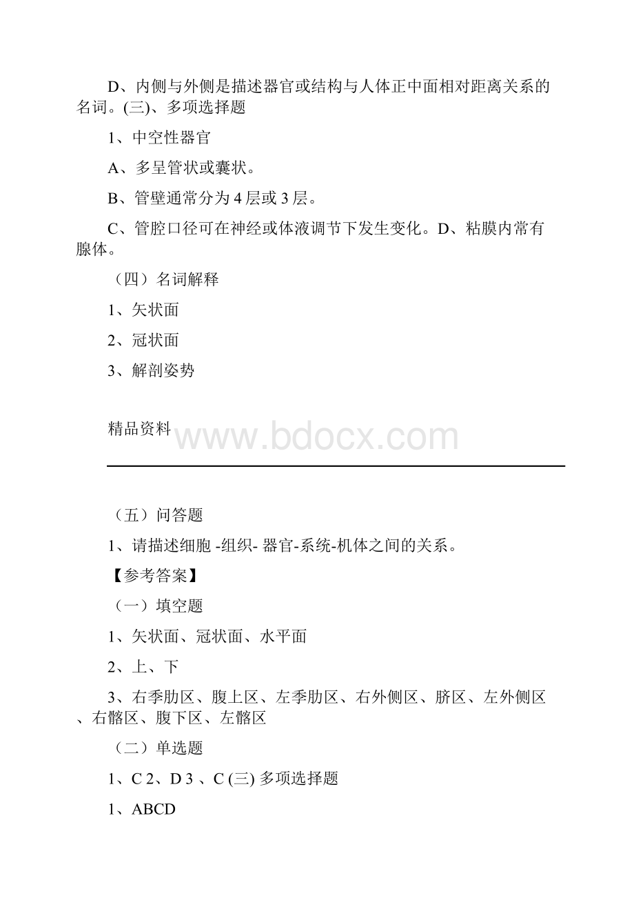 人体解剖学试题和标准答案.docx_第2页