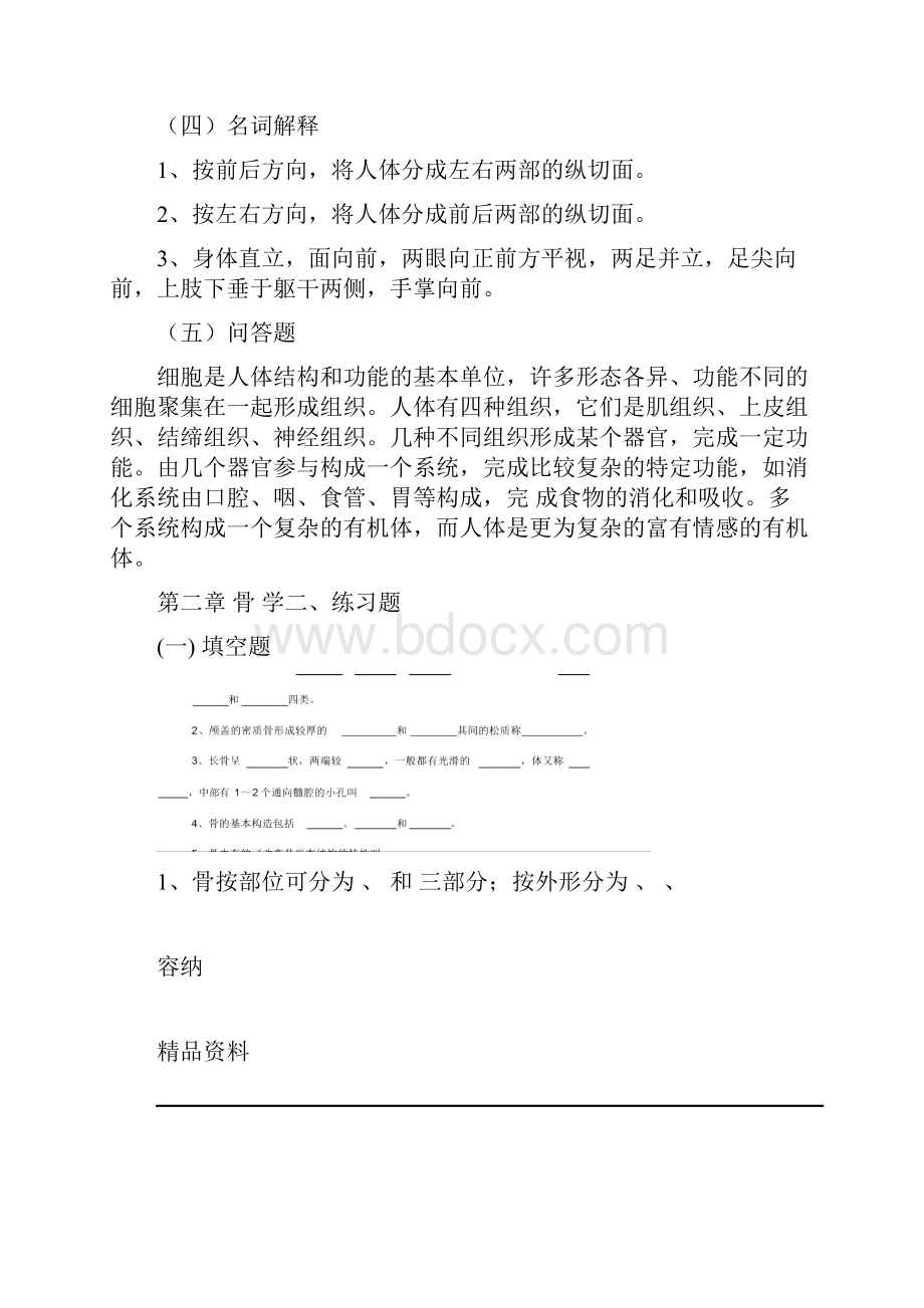 人体解剖学试题和标准答案.docx_第3页