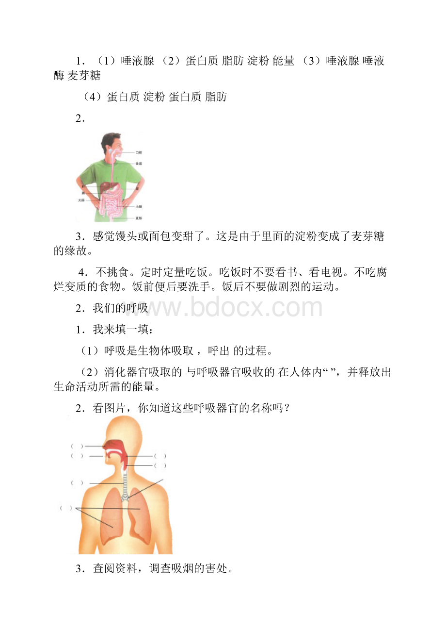 青岛版五年级科学下册各课知识点.docx_第2页