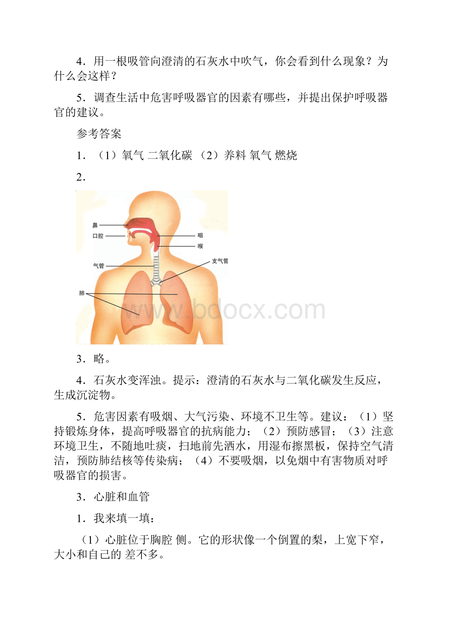 青岛版五年级科学下册各课知识点.docx_第3页