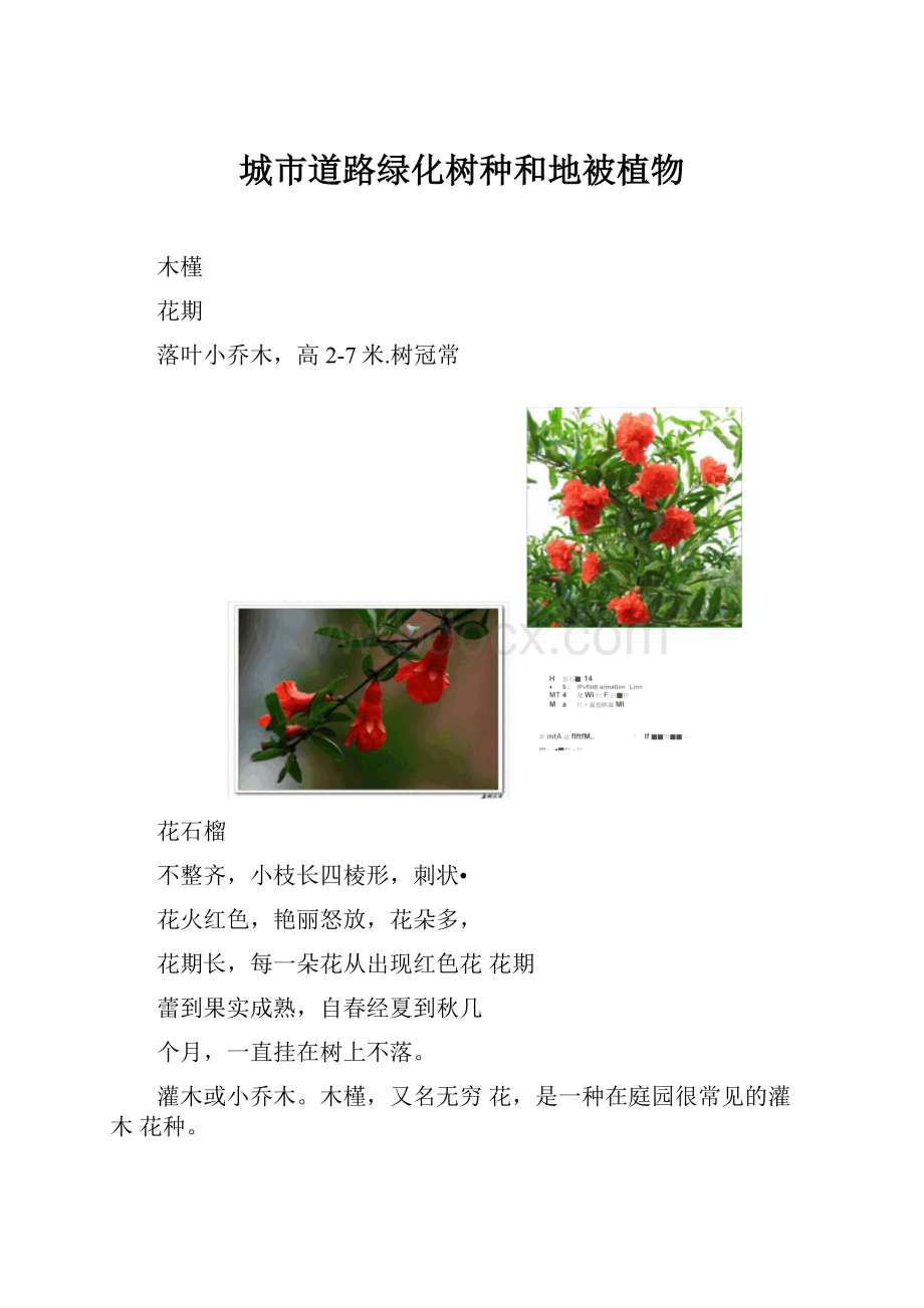 城市道路绿化树种和地被植物.docx