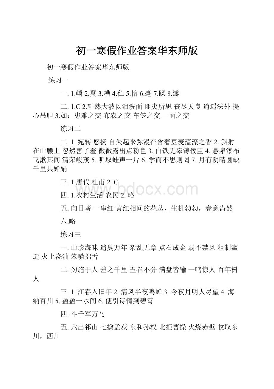 初一寒假作业答案华东师版.docx