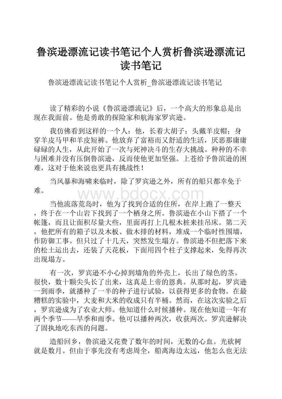 鲁滨逊漂流记读书笔记个人赏析鲁滨逊漂流记读书笔记.docx